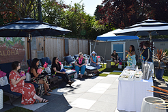 MOMENTUM - MULTI-VENDOR